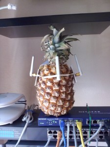 Hospitality Pineapple with MIMO WiFi